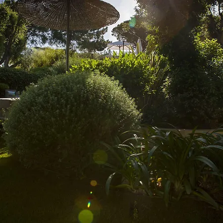 ラ バスティード ダントワーヌ 4*